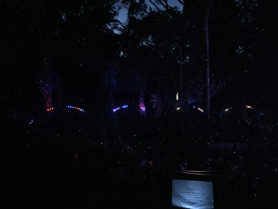 Colored lights and tiny green points across dark tropical foliage.