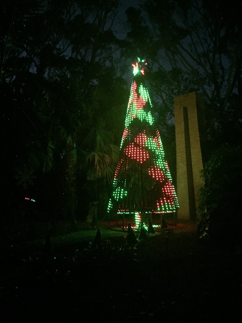 A tall green-and-red light tree rising between palm trees.