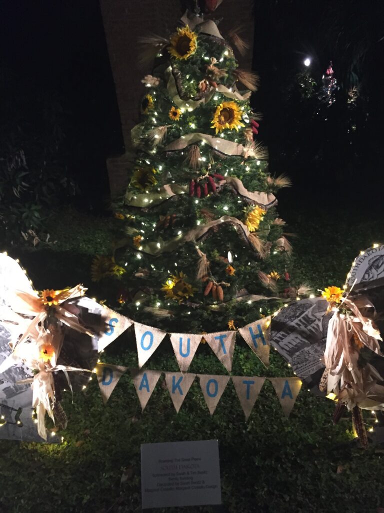 Decorated Christmas tree glowing outdoors at night.
