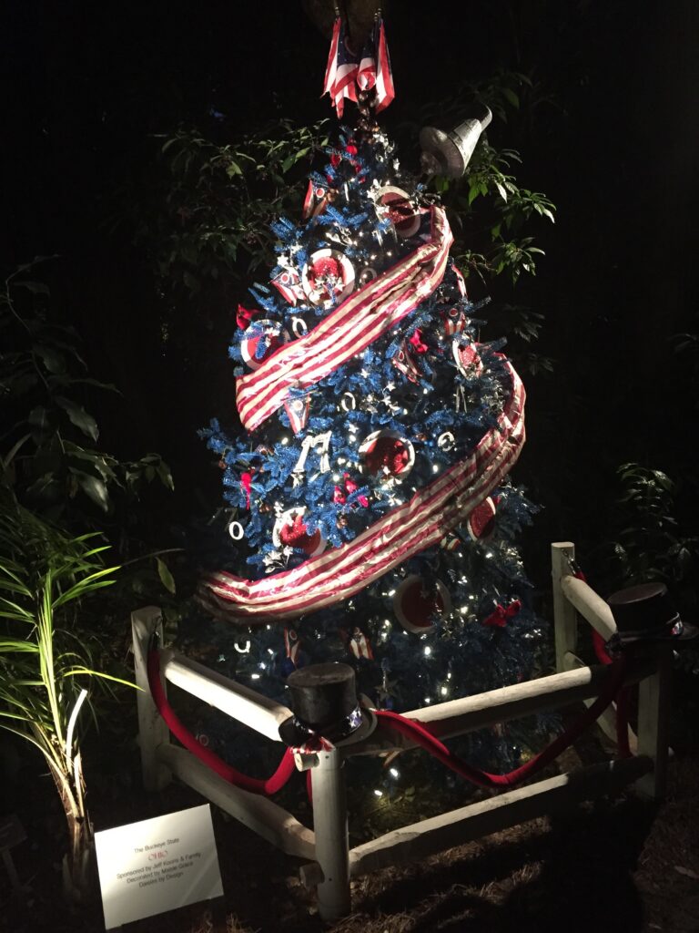 A decorated outdoor Christmas tree glowing at night.