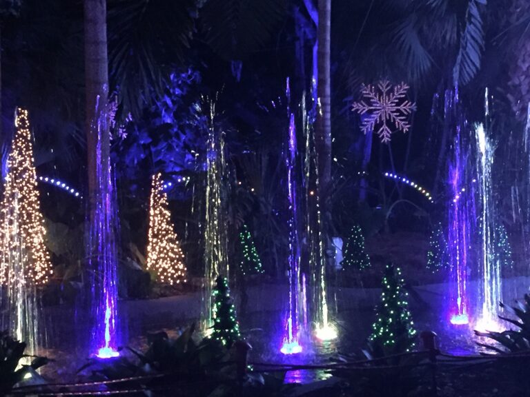 Purple and blue holiday lights illuminate trees and water at night.