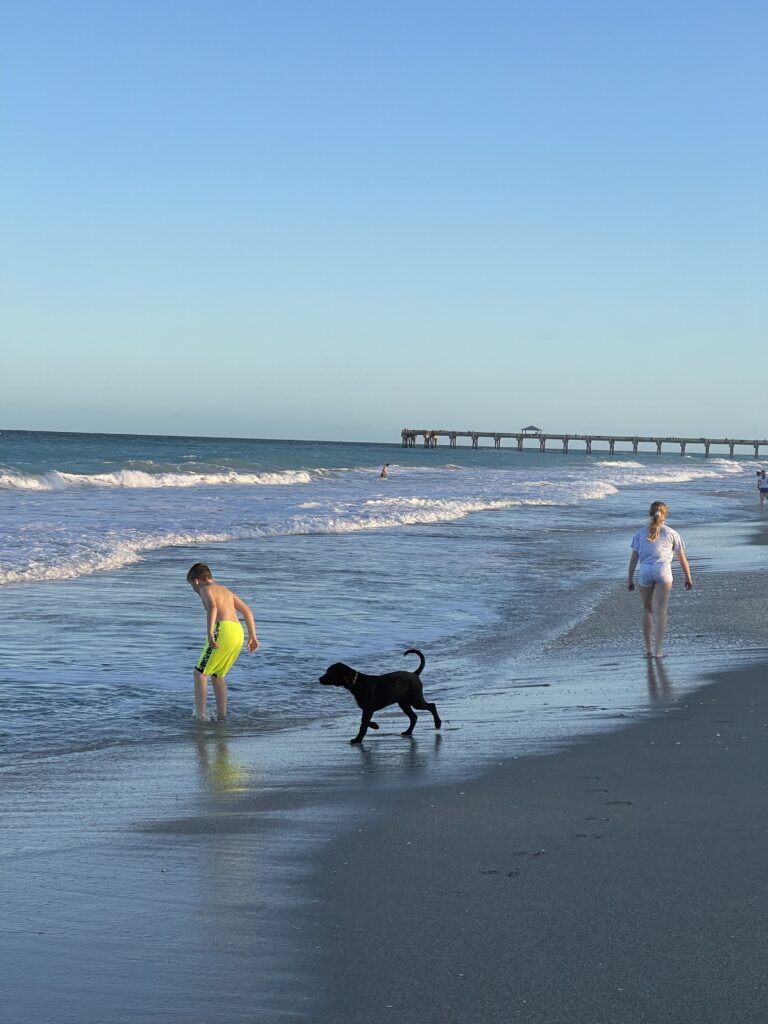 Family and a dog walking beside the ocean.