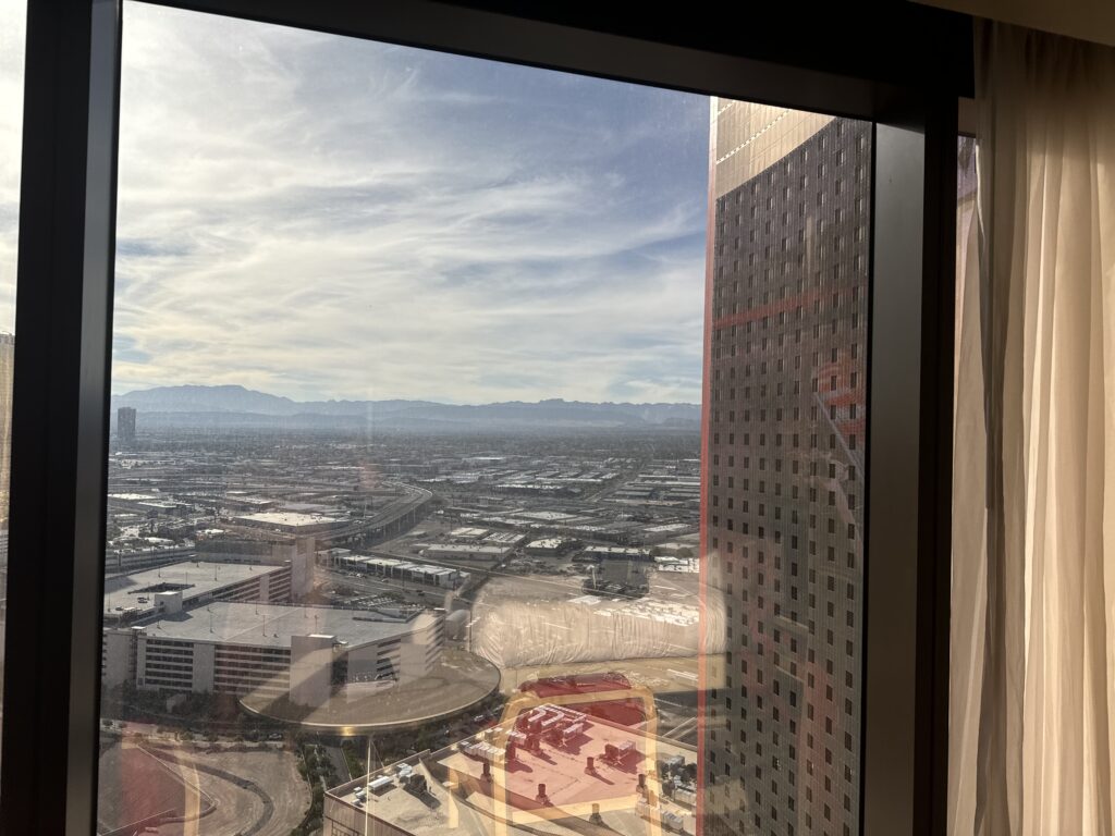 City view through a tall hotel window.