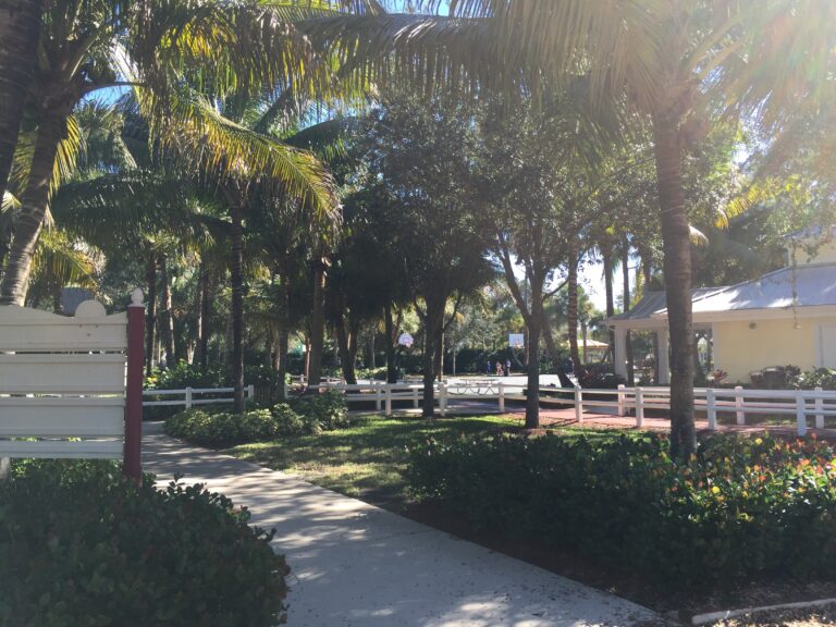 A sunlit walkway framed by palms and landscaped greenery.