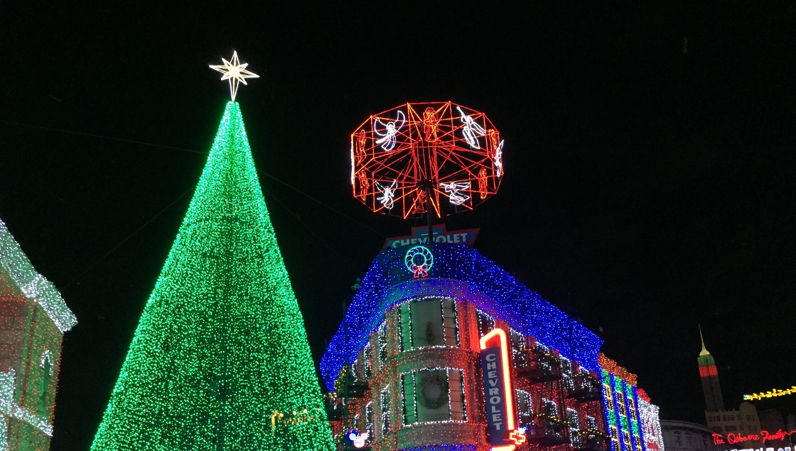 A giant green holiday tree beside buildings and a wheel outlined in lights.