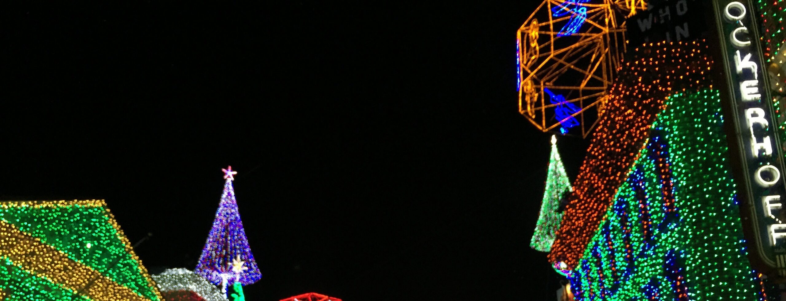 People-free upper crop of Disney buildings and rooftops covered in green, blue, red, and gold holiday lights.